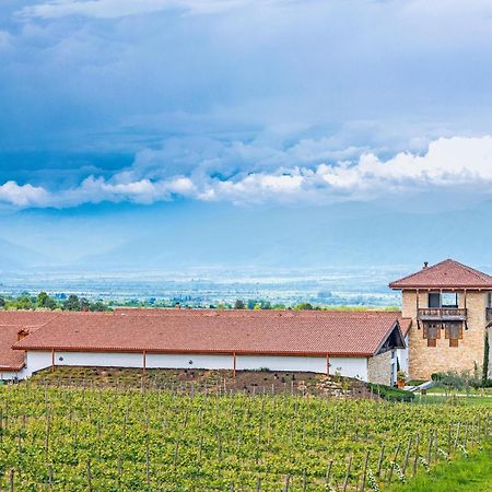 Chateau Mosmieri Hotel & Winery テラヴィ エクステリア 写真