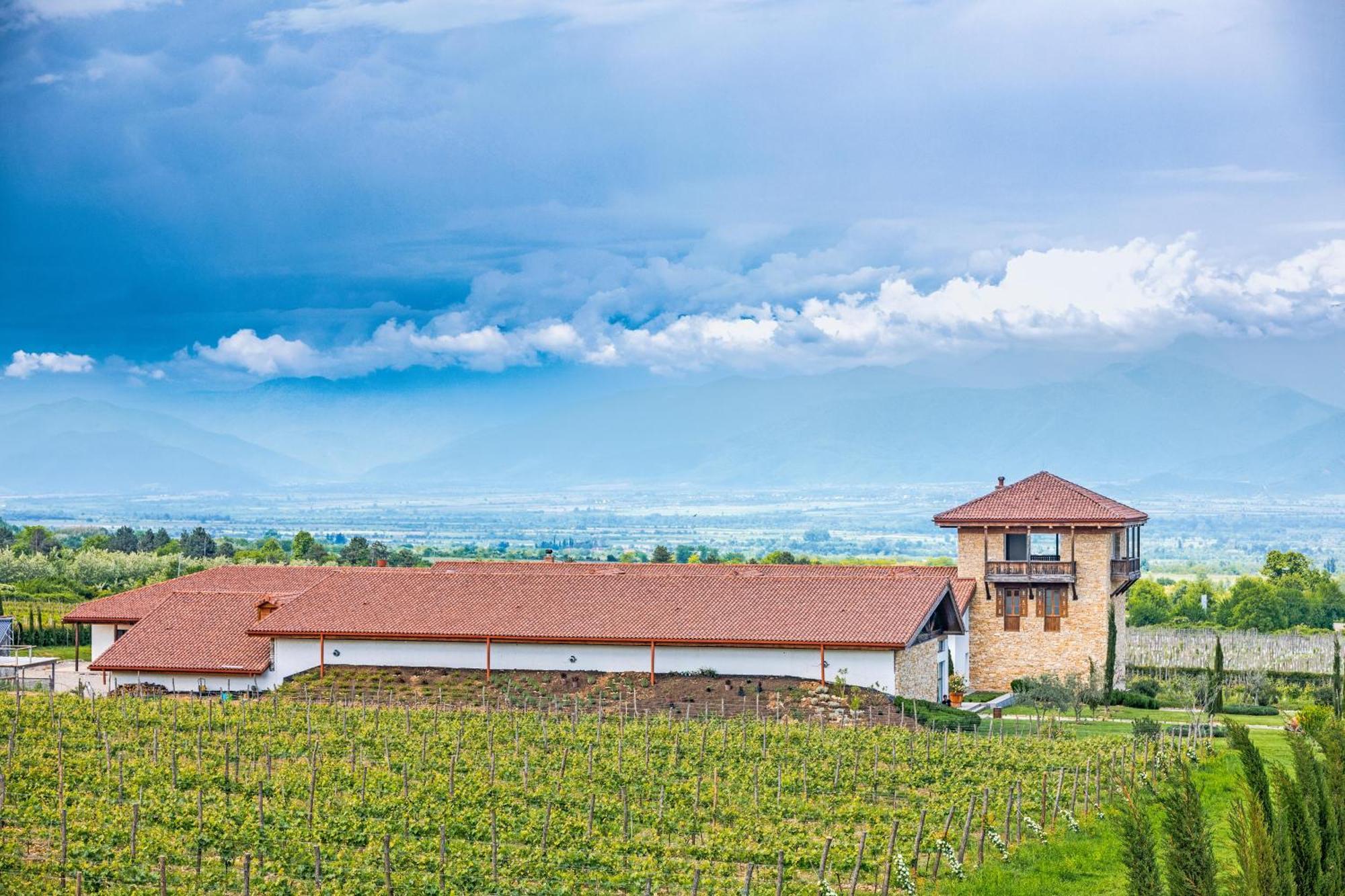 Chateau Mosmieri Hotel & Winery テラヴィ エクステリア 写真