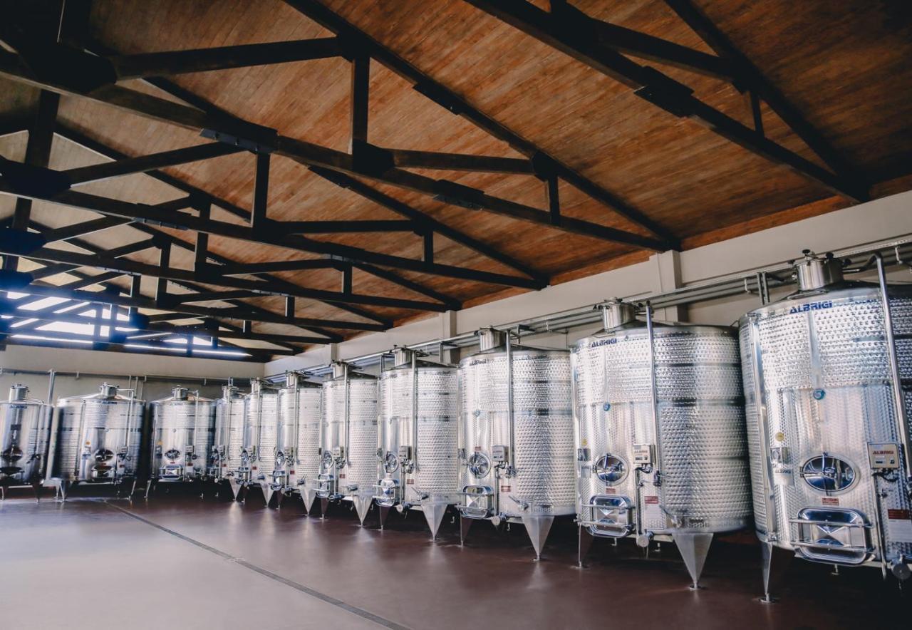 Chateau Mosmieri Hotel & Winery テラヴィ エクステリア 写真