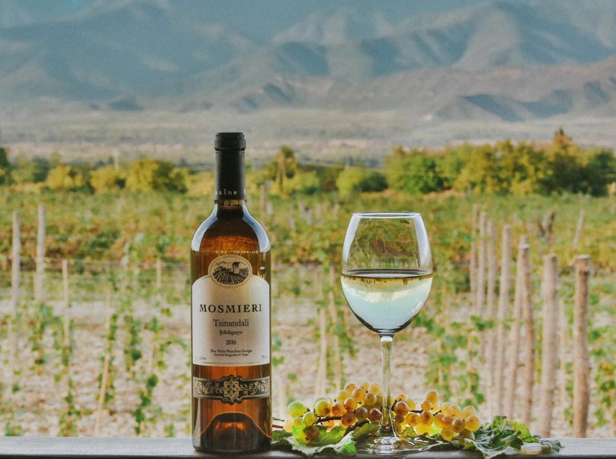 Chateau Mosmieri Hotel & Winery テラヴィ エクステリア 写真